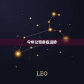 今年公司命名运势