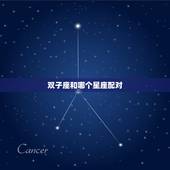 双子座和哪个星座配对，12星座谁最怕双子座