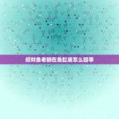 招财鱼老躺在鱼缸底怎么回事，我家的招财鱼为什么总横躺在缸底不游呢？