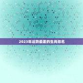 2023年运势最差的生肖排名，2023年属马男人的全年运势