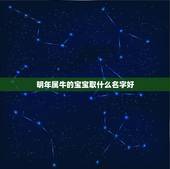 明年属牛的宝宝取什么名字好，2023属牛宝宝取什么名好