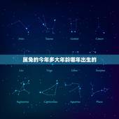 属兔的今年多大年龄哪年出生的，属兔的今年多大