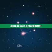 属狗2023年几月份运势能转好，生肖狗2023年运势大全
