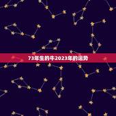 73年生的牛2023年的运势