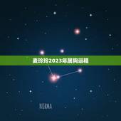 麦玲玲2023年属狗运程，麦玲玲属蛇人2023年运势运程？