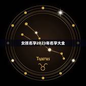 女孩名字2023年名字大全，2023年女孩漂亮有涵养的名字