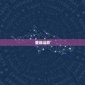 属兔今年运程每月运势(2023年属兔人的财运、感情、事业运势详解)