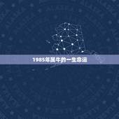 1985年属牛的一生命运，1985年属牛的男士一生财运怎么样？