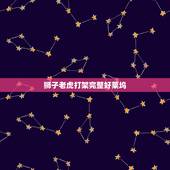 狮子老虎打架完整好莱坞，老虎打架