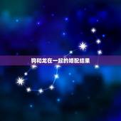 狗和龙在一起的婚配结果，我很相信生肖这东西，男朋友属牛，我属龙，牛和龙