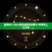 属兔的人2023年的运势及运程 87年属兔人三大坎