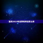鼠的2023年运势和财运怎么样(好运连连财源滚滚)
