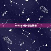 1982年1月8日生属相，1982年1月8号出生的人属什么？