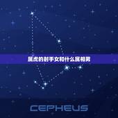 属虎的射手女和什么属相男，属虎的射手座的男人要和什么生肖星座的女人般配