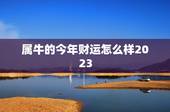 属牛的今年财运怎么样2023，属牛人跟谁一起财运好