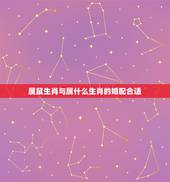 属鼠生肖与属什么生肖的婚配合适，属鼠的属相婚配表 属鼠的和什么属相最配