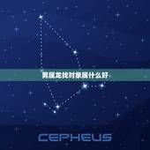 男属龙找对象属什么好，属龙的男生和哪几个属相婚姻是最好的？