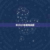 羊2023年属相运程，属相羊2023年运势如何？