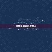 属牛是哪年出生的人，属牛是哪年生的
