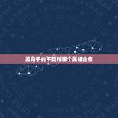 属兔子的不能和哪个属相合作，属兔男人不能和什么属相的人做生意