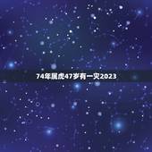 74年属虎47岁有一灾2023，74年属虎2023年运势及运程
