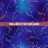 师徒上西天少了猪八戒什么属相，师徒上西天少了猪八戒猜一生肖