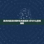 属虎的最适合哪种生肖最佳的 虎与什么属相相配