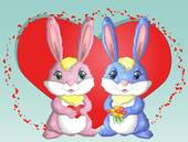 生肖鸡跟生肖兔相配吗女(生肖配对解析)