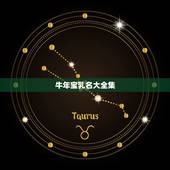 牛年宝乳名大全集，给牛年宝取小名