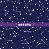 不会辜负摩羯女的星座男(十二星座排行榜)