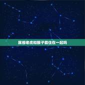 属相老虎和猴子能住在一起吗，属虎的和属猴的人适合在一起吗？