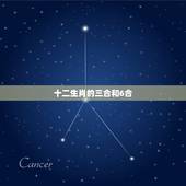 十二生肖的三合和6合 6合生肖是哪六个动物