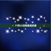 11月22日到底是天蝎，1982年11月22日是什么星座