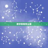 数字命格怎么算，怎么算一个人的命格