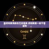 属虎和属龙的合不合得来 虎和龙能一起干事业吗