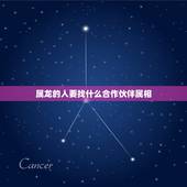 属龙的人要找什么合作伙伴属相，生肖不合能否合伙做生意 属相相冲合伙做生