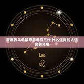 家庭养乌龟禁忌养龟穷三代 什么生肖的人适合养乌龟