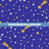 属鸡的和属狗的用什么属相的调和，属狗和属鸡能合吗？