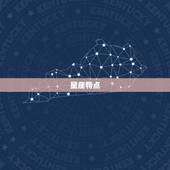 狮子座和双子座合得来吗(星座配对大介绍)