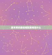 属羊男的最佳婚配属相是什么，2015年生属羊男最佳配偶是属什么