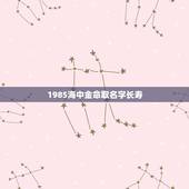 1985海中金命取名字长寿，海中金命用什么名字好