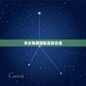 羊女兔男婚配是否合适，79年女羊和87年男兔结婚适合吗