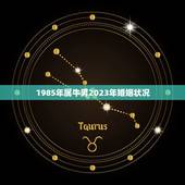 1985年属牛男2023年婚姻状况，2023从什么时候开始属牛？
