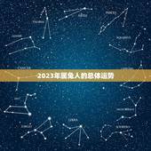 2023虎年属兔运势(兔子们的幸运之年)