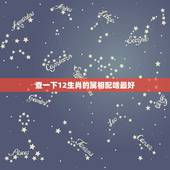 查一下12生肖的属相配啥最好，12生肖中什么生肖跟什么生肖最配