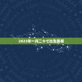 2023年一月二十七出生属相，一九六零年一月二十七日出生人的属相