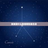 属猪跟什么属相婚配最合适，属猪配什么属相最合适