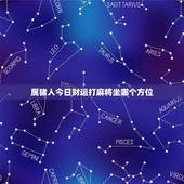 属猪人今日财运打麻将坐哪个方位，生肖猪今日运势属猪人今日财运