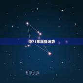 中71年属猪运势