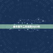 金牛座十二月运势2023年，2023年金牛座每月运势